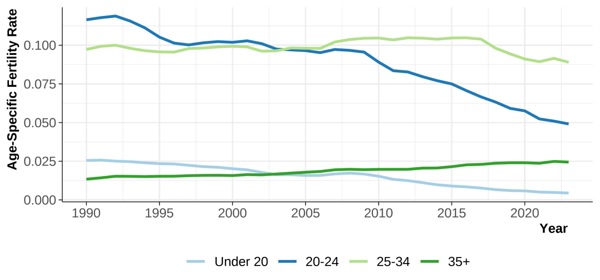 This line chart shows the age-specific fertility rates over time. Notably all rates under the age of 24 are declining rapidly while rates for older groups increase, but slowly. 