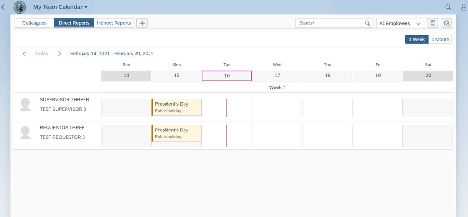 My Team Calendar window with Direct Reports tab selected