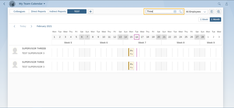 My Team Calendar window with Test tab selected and Search box highlighted