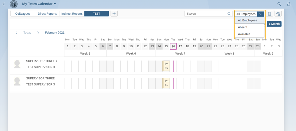 My Team Calendar window with Direct Reports tab selected and Employees box highlighted