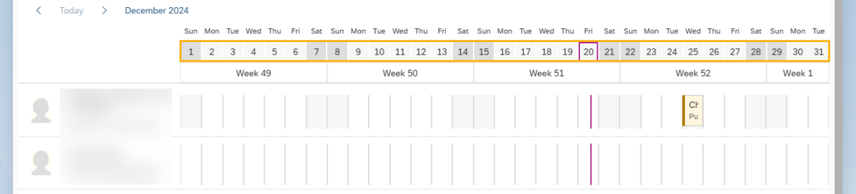 Colleague tab with 1 month button and monthly calendar highlighted.