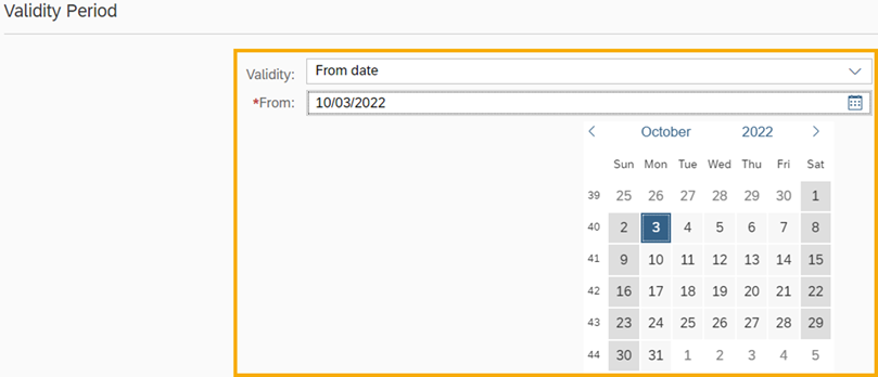 Validity period with validity from date and calendar tool to select date