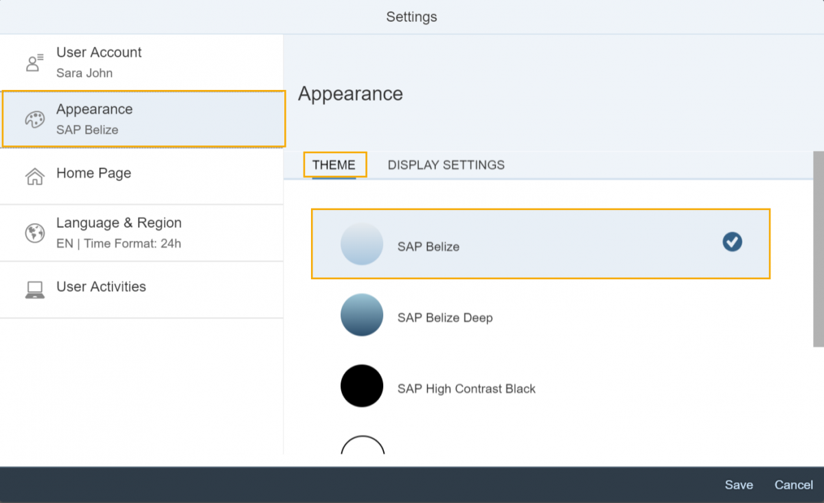 Settings screen with Appearance and Theme tabs highlighted