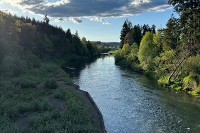 Photo by Marc Osborn: Taken on the Willapa Hills State Park Trail in Chehalis, Washington.