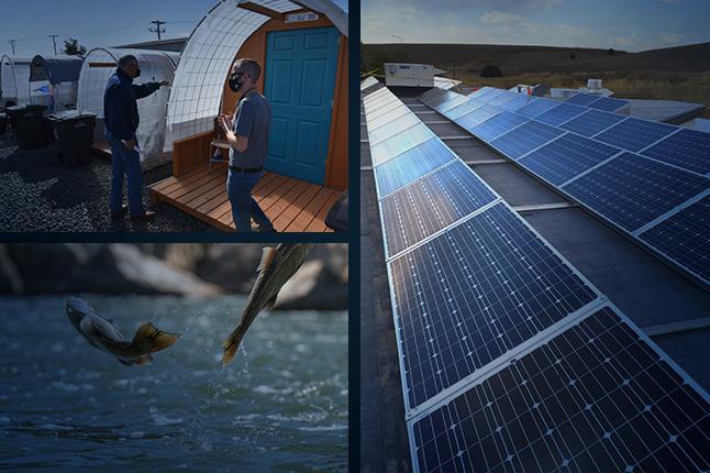 Composite image of budget focus items: Gov. Inslee touring a tiny home village, salmon leaping out of water, and a solar array on a building