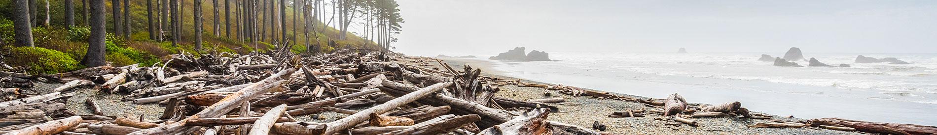 Ruby Beach on the Pacific coast, Olympic National Park