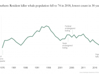 Chart showing Southern Resident killer whale population fell to 74 in 2018, lowest count in 30 years