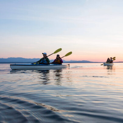 AdobeStock_264302232-aspect-ratio-404-404