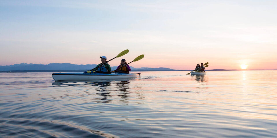 AdobeStock_264302232-aspect-ratio-959-480
