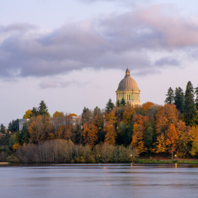 AdobeStock_299352116-aspect-ratio-404-404