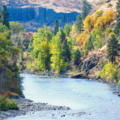 AdobeStock_461149172-aspect-ratio-404-404