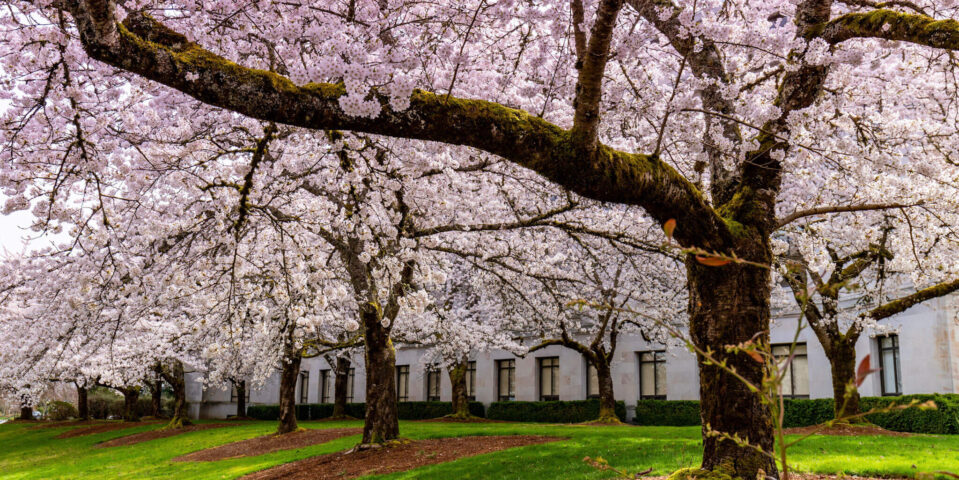 AdobeStock_496675401-aspect-ratio-959-480