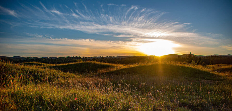 AdobeStock_627115067-aspect-ratio-920-460