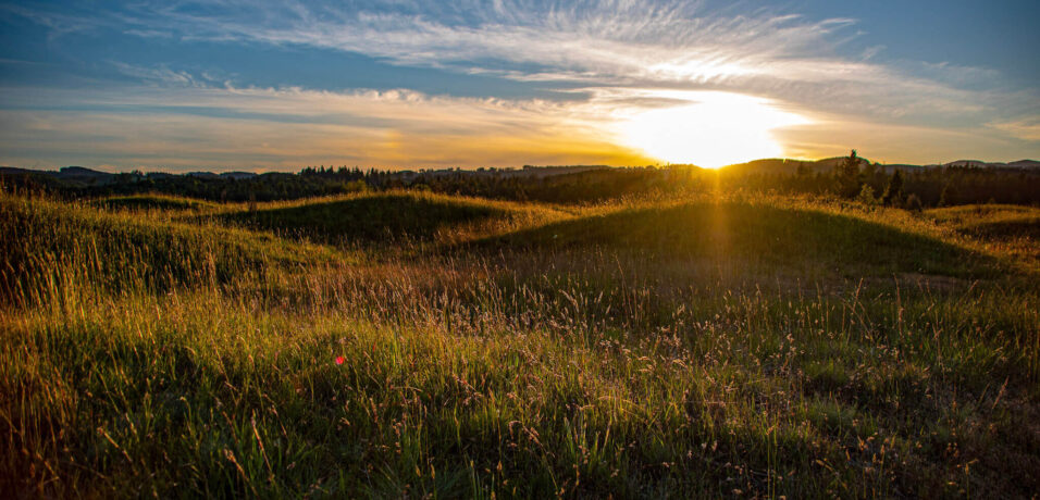 AdobeStock_627115067-aspect-ratio-920-460