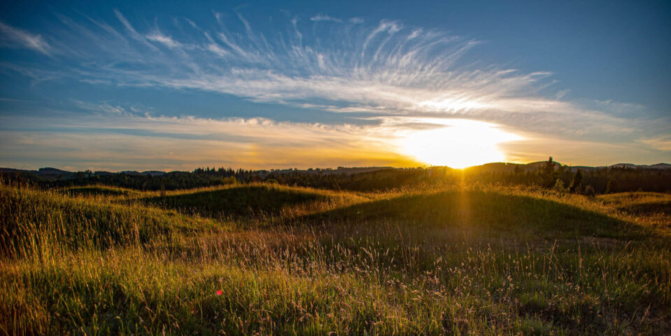 AdobeStock_627115067-aspect-ratio-959-480